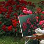 rose, flowers, painter, paint, red rose, rose garden, nature, tabitha, flower background, romantic, love, figure, rose, rose, beautiful flowers, rose flower, flower wallpaper, painter, painter, painter, painter, painter, red rose, rose garden, rose garden, rose garden